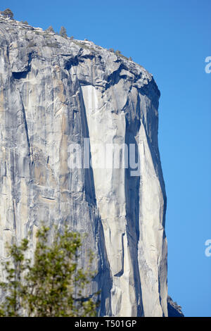 Rocher de granit, El Capitan, Yosemite, en Californie, l'Amérique. Banque D'Images