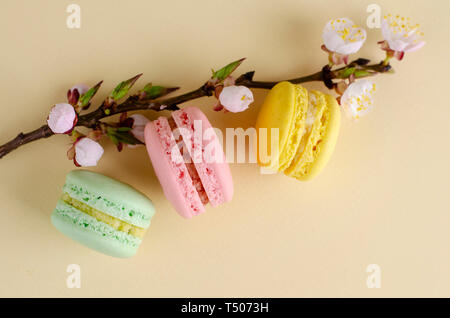 Macarons colorés français ou macarons à l'abricotier en fleurs fleurs sur fond beige pastel. Copier l'espace. Carte de vœux et printemps concept. Pas de Banque D'Images