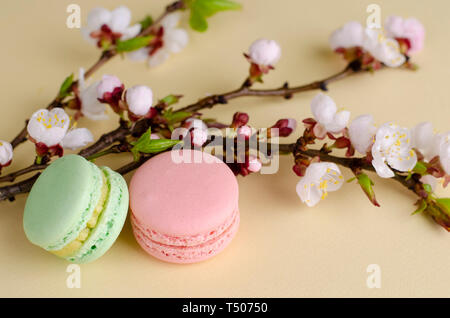 Macarons colorés français ou macarons à l'abricotier en fleurs fleurs sur fond beige pastel. Copier l'espace. Carte de vœux et printemps concept. Pas de Banque D'Images
