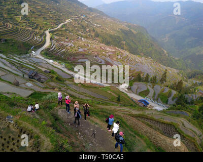 Congjiang, Congjiang, Chine. Apr 19, 2019. Congjiang, CHINE-paysans sont occupés par l'agriculture au printemps les champs en terrasses à Congjiang, province du Guizhou. Crédit : SIPA Asie/ZUMA/Alamy Fil Live News Banque D'Images