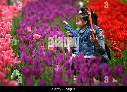 Shijiazhuang, Province de Hebei en Chine. Apr 19, 2019. Les touristes s'amuser au Jardin botanique de Shijiazhuang à Shijiazhuang, Chine du nord, dans la province du Hebei, le 19 avril 2019. Pretty House Crédit :/Xinhua/Alamy Live News Banque D'Images