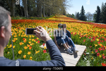 Mainau, Allemagne. Apr 20, 2018. Virag Kiss (M) à partir de la Hongrie est assis avec sa soeur sur l'île aux fleurs de Mainau en face d'une mer de tulipes et profite de l'été. Crédit : Patrick Seeger/dpa/Alamy Live News Banque D'Images