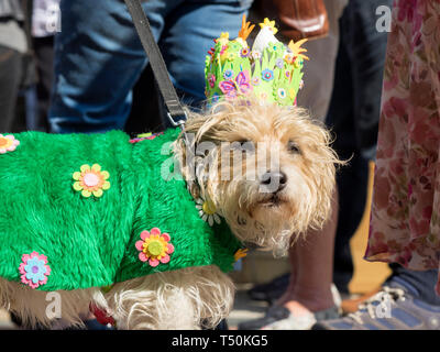 Faversham, Kent, UK. 20 avril, 2018. Un chapeau de Pâques Parade a eu lieu à high street Faversham Kent en ce matin à 11h, avec un éventail impressionnant de dessins ou modèles créatifs sur l'affichage. Credit : James Bell/Alamy Live News Banque D'Images