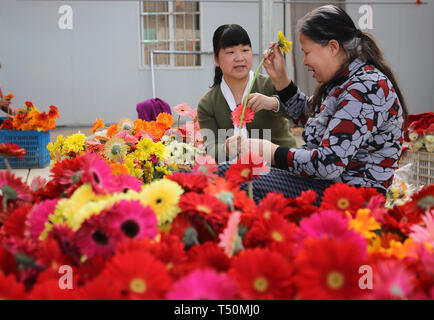 (190420) -- SHANGHAI, 20 avril 2019 (Xinhua) -- Le conseiller en technologie Chen Guirong (L) parle avec un agriculteur de Jianyang District de Fengyang Road, dans le sud-est de la province de Fujian en Chine, le 28 mars 2019. (Xinhua/Un Xiya) Banque D'Images