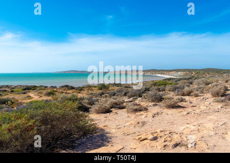 La ligne côtière près de Shark Bay à l'ouest de l'Australie Banque D'Images