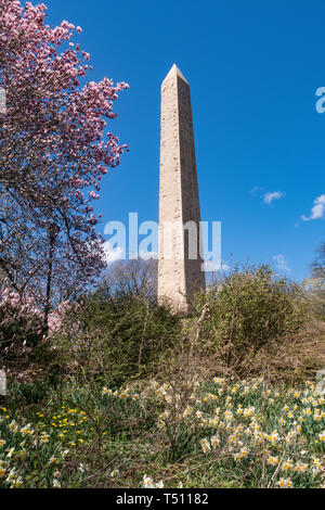 Cleopatra's Needle obélisque est entourée d'arbres qui fleurit au printemps, Central Park, NYC, USA Banque D'Images