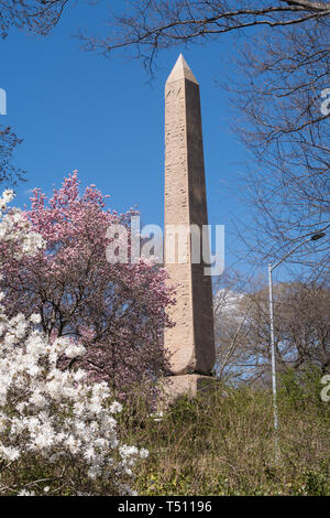 Cleopatra's Needle obélisque est entouré d'arbres en fleurs au printemps, Central Park, NYC, USA Banque D'Images