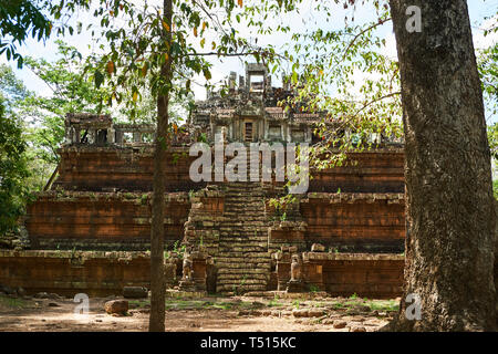 Les ruines de Hindu Temple Phimeanakas (Prasat Phimean Akas, Vimeanakas) entouré de jungle, Angkor Thom, Angkor, Cambodge Parc archéologique. Banque D'Images