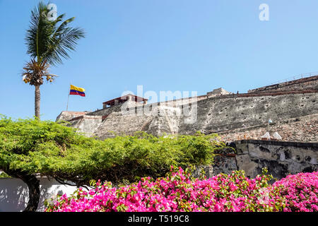 Cartagena Colombie,Castillo de San Felipe de Barajas,colline San Lazaro,château fort colonial historique,site du patrimoine mondial,extérieur,drapeau,fleurs,COL19 Banque D'Images