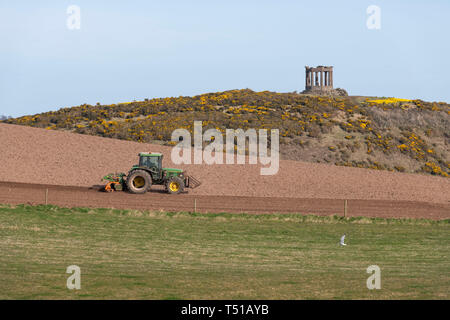 Un agriculteur herse un champ dans le Nord Est de l'Écosse avec le Stonehaven War Memorial à l'arrière-plan Banque D'Images