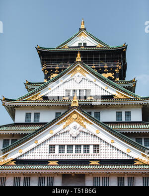 Le Château d'Osaka entouré d'arbres et de fleurs de cerisier du Japon Banque D'Images