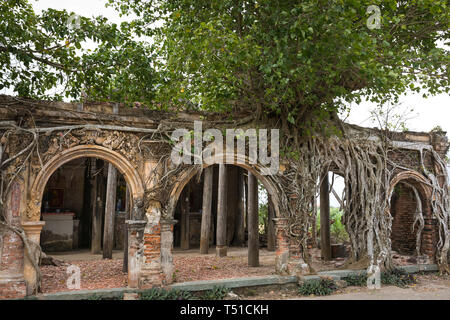 Un ancien temple appelé Go Tao dans Tan Dong, rendez-Cong, province de Tien Giang, construite en 1907. L'ancien temple avec Banyan Tree est le symbole de l'espace rural Banque D'Images