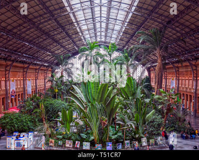 Jardin tropical de la estación de Atocha. Madrid. España Banque D'Images