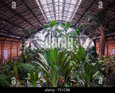 Jardin tropical de la estación de Atocha. Madrid. España Banque D'Images