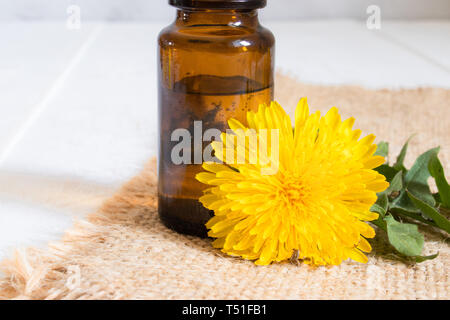 Bouteille d'huile essentielle avec fleurs de pissenlit au premier plan. L'huile essentielle de la fleur. La phytothérapie. Banque D'Images