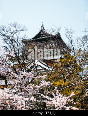 Château d'Hiroshima couverte de fleurs de cerisier et de fleurs Banque D'Images