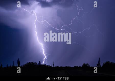 Tempête de foudre dans le désert près de Tucson, Arizona Banque D'Images