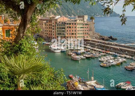 Port de pêche de Gênes en Ligurie, au nord ouest de l'Italie Banque D'Images