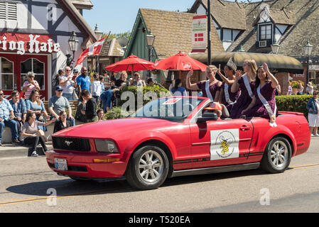 Les filles avec des rubans de débarrasser, au dos de la Mustang décapotable rouge dans la street parade. Banque D'Images