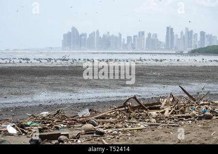 La pollution déchets le long du littoral de la Costa del Este Salon à Panama City Banque D'Images