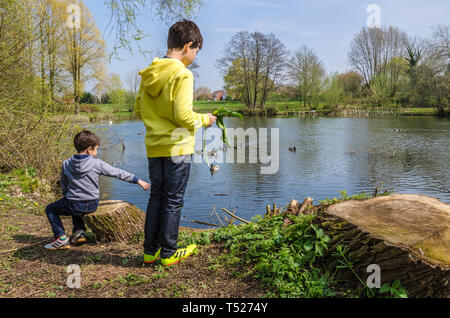 Les jeunes frères à côté de la partie supérieure du lac dans le village de tonne près de Wolverhampton en Afrique du Staffordshire, Royaume-Uni Banque D'Images