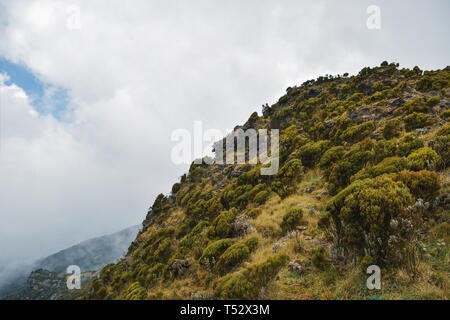 Les paysages de montagne volcanique sur les flancs du Mont Kenya Aberdare, gammes, Kenya Banque D'Images