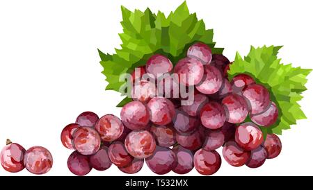 Raisins rouges bien mûrs. Bouquet de roses avec feuilles vector illustration Illustration de Vecteur