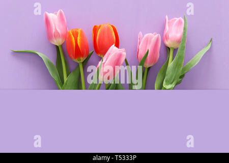 Bouquet de tulipes orange et rose clair violet sur fond de bois. Vue d'en haut Banque D'Images
