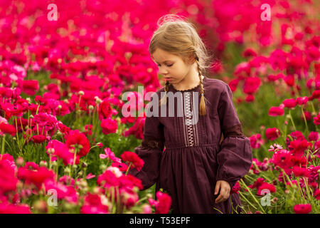 Fille marche dans un champ de fleurs renoncule rouge Banque D'Images