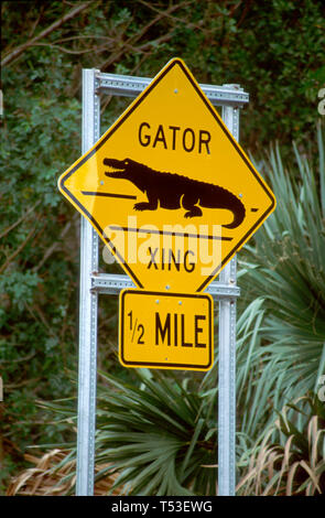 Sanibel Island Florida,JN Ding Darling National Wildlife refuge,territoire fédéral,public,conservation historique,nature,naturelle,préserver,flore,faune,Gator Cr Banque D'Images