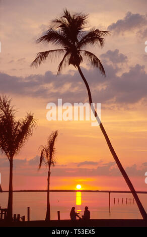 Côte du golfe de Floride Lee County Pine Island Tarpon Lodge,coucher de soleil,nature,paysage,naturel,campagne,pittoresque,nature,paysage,naturel,paysage,campagne,paysage,paysage,n Banque D'Images