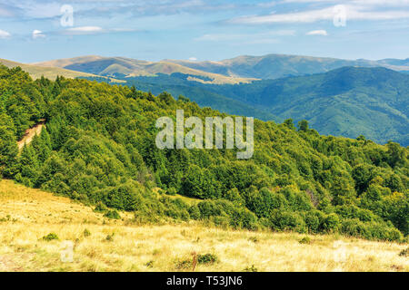 Les forêts primaires de hêtres des Carpates. belle fin d'été en paysage d'après-midi. svydovets ridge au loin sur la colline d'herbe altérée. Banque D'Images