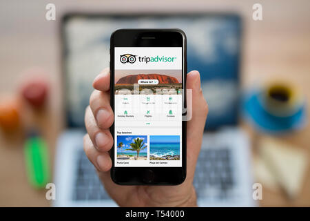 Un homme se penche sur son iPhone qui affiche le logo de Trip Advisor (usage éditorial uniquement). Banque D'Images