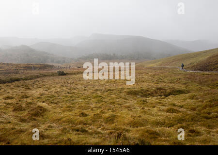 Une personne qui marche sur le chemin et dans la brume et la pluie montre l'immensité de la station d'Mountain-Lake St Clair National Park, en Australie. Banque D'Images