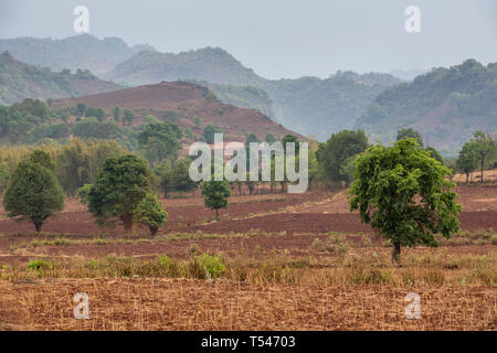 Terres agricoles arides sur le trek de Kalaw au Lac Inle, l'État de Shan, Myanmar. Banque D'Images