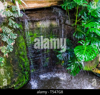 Grande cascade dans un jardin avec des feuilles vertes, des jardins tropicaux et de l'architecture Banque D'Images