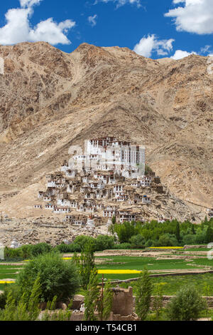 Chemre gompa monastère bouddhiste au Ladakh, le Jammu-et-Cachemire, l'Inde Banque D'Images