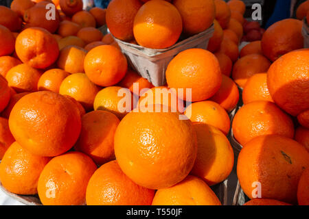 Oranges de Floride à un stand de fruits et légumes sur un marché de producteurs le samedi matin à Fort Pierce en Floride. Banque D'Images