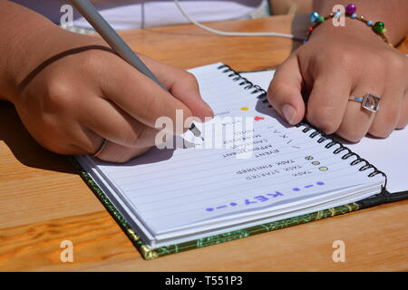 Femme écrit dans un journal de balle Banque D'Images