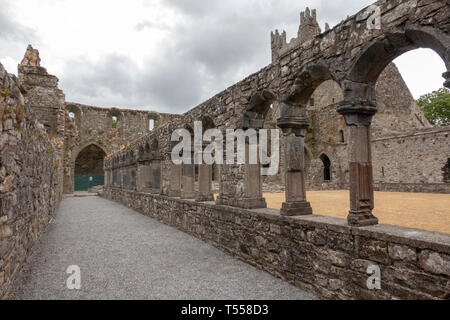 Cloître de l'abbaye de Jerpoint, une abbaye cistercienne, Thomastown, County Kilkenny, Irlande. Banque D'Images