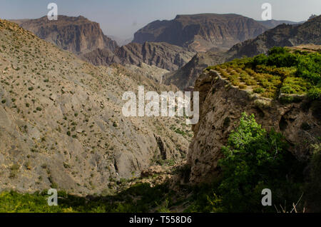 Le vert des montagnes appelé Jebel Akhdar des montagnes Hajar, l'intérieur dur d'Oman, la maison de rose traditionnelle et des fruits de la récolte Banque D'Images