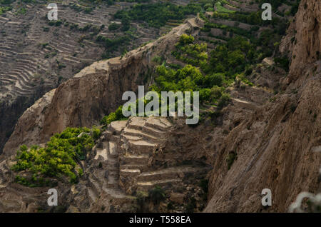 Le vert des montagnes appelé Jebel Akhdar des montagnes Hajar, l'intérieur dur d'Oman, la maison de rose traditionnelle et des fruits de la récolte Banque D'Images