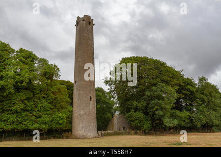 La tour ronde en pierre sur le site monastique Kilree, qui comprend une haute croix en pierre et église ruines, comté de Kilkenny, Irlande. Banque D'Images
