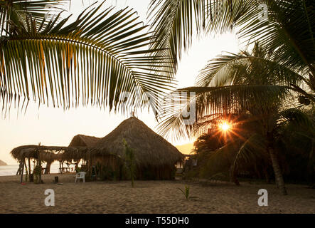 Palmiers luxuriants, cabines de chaume (Cabañas) pour les touristes logement sur la plage tropicale de Zipolite. L'état d'Oaxaca, au Mexique. Apr 2019 Banque D'Images