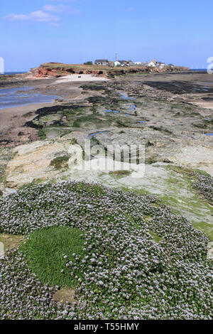 Vue sur l'île de Middle Eye Hilbre, Dee Estuary, Wirral, UK Banque D'Images