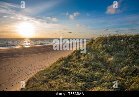 Plage de la mer du Nord, de la côte du Jutland au Danemark Banque D'Images