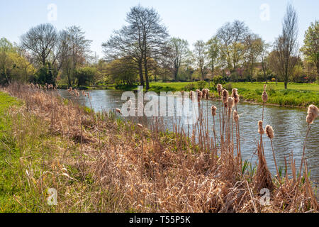 falcon meadow bungay river waveney suffolk royaume-uni Banque D'Images