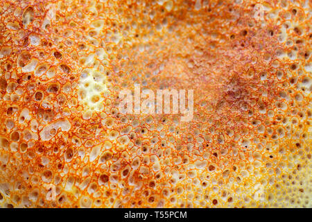 Contexte de la surface d'une crêpe ruddy close-up. Grillé mince crêpe, vue de dessus, fragment Banque D'Images