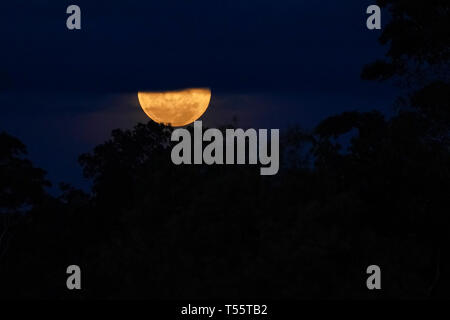 Super pleine Lune sur la forêt amazonienne Banque D'Images