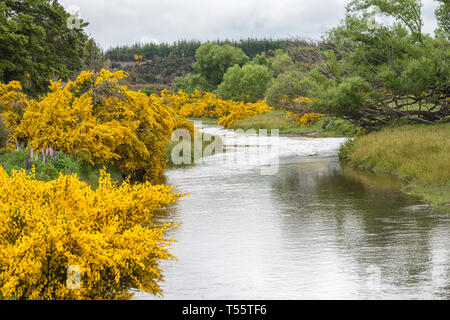 Eglinton River par Te Anau Downs, New Zealand Banque D'Images